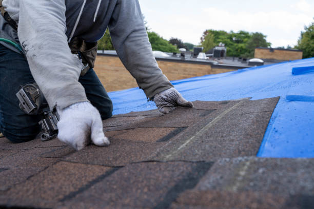 Best Roof Gutter Cleaning  in New Baden, IL