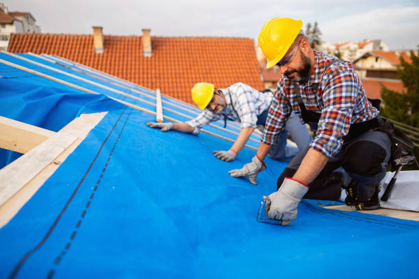 Best Roof Restoration Services  in New Baden, IL